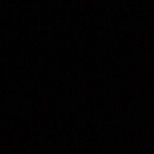 Meet your Posher, Maggie